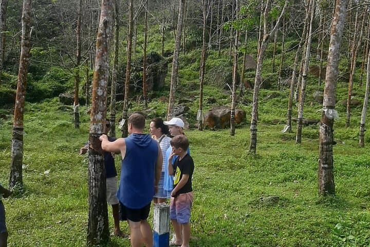 Authentic Sri Lankan Village Tour from Bentota: Tea, Rubber & Natural Pools photo 5