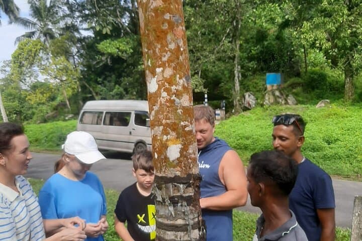 Authentic Sri Lankan Village Tour from Bentota: Tea, Rubber & Natural Pools photo 6