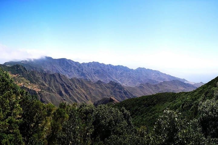 Candelaria, La Laguna & Anaga: Full-Day Nature and Culture Tour in Tenerife