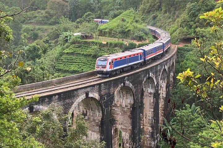 Ella One Day Tour: Ella Rock, Little Adam’s Peak & Nine Arch Bridge photo 5