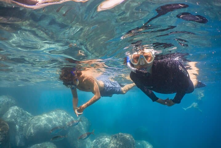 Funchal Kayak Rental & Snorkel: Sheltered Bays and Marine Life photo 6