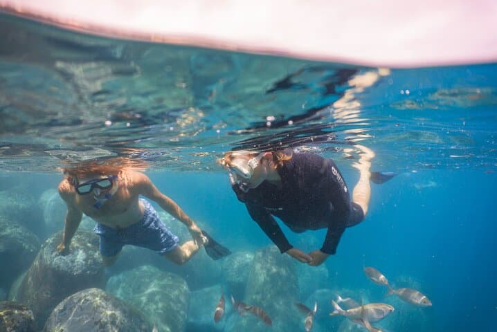 Funchal Snorkeling Adventure in Marine Eco-Park: Shore or Boat Options photo 4
