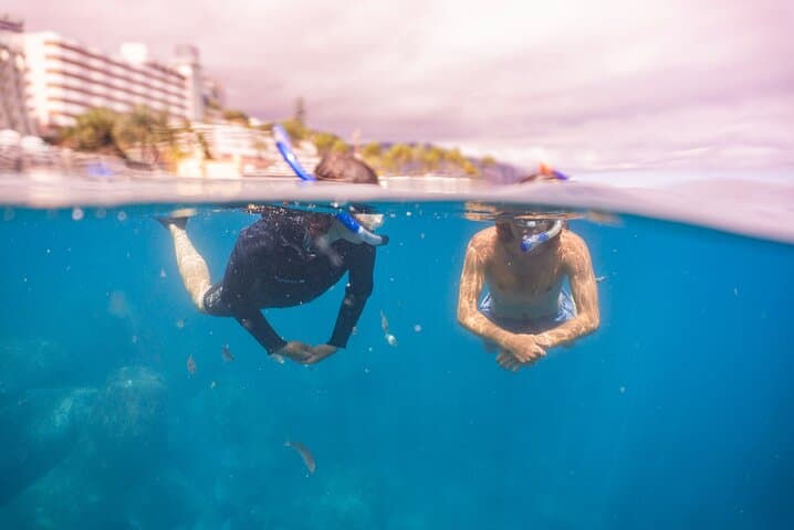 Funchal Kayak Rental & Snorkel: Sheltered Bays and Marine Life photo 3