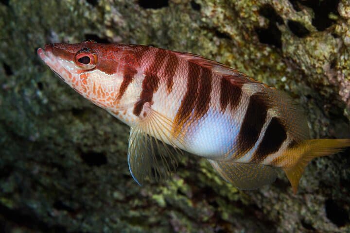 Plakias Discover Scuba: Private First-Time Dive in South Crete photo 5