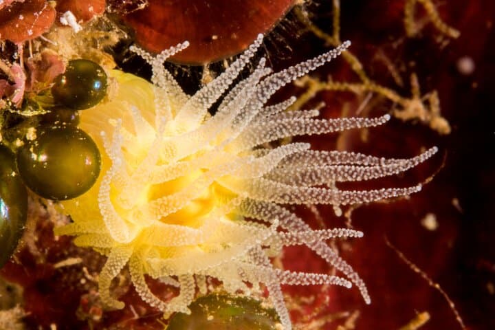 Plakias Discover Scuba: Private First-Time Dive in South Crete photo 4