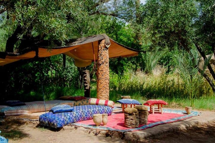 Paradise Valley Day Trip from Agadir: Natural Pools, Botanic Garden & Atlas Views photo 5