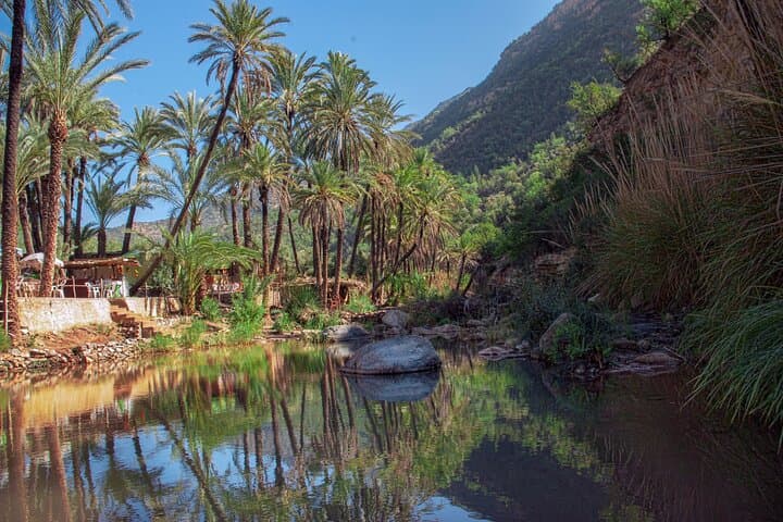 Paradise Valley Day Trip from Agadir: Natural Pools, Botanic Garden & Atlas Views photo 4