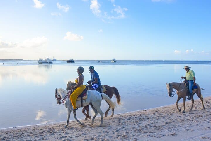 Punta Cana Beach Horseback Ride: Shared Coastal Trail to Punta de los Nidos photo 6