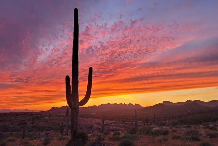 After Dark Desert Tour: Stargazing & Night Wildlife Near Scottsdale photo 3