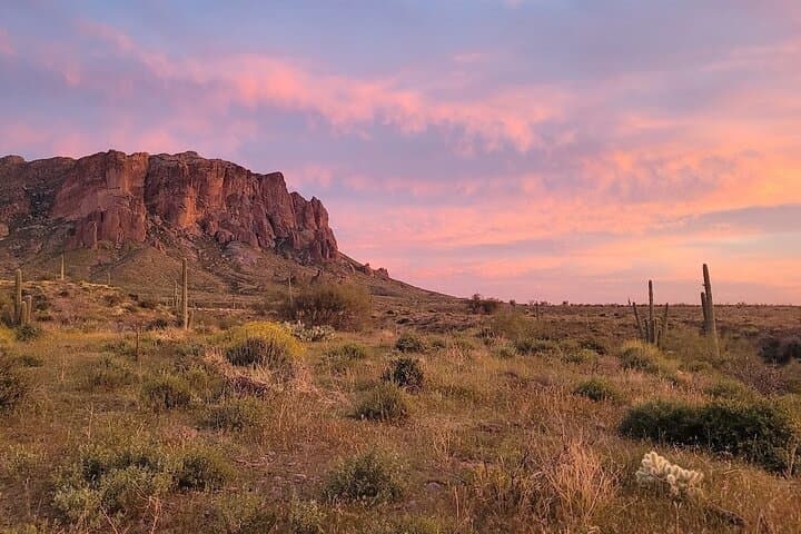 After Dark Desert Tour: Stargazing & Night Wildlife Near Scottsdale photo 5