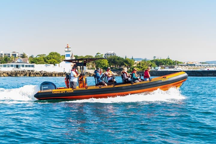 Cascais Coast Dolphin Watching — Boat Tour from Cascais Marina photo 2