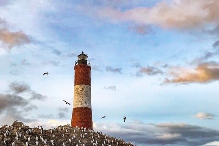 Sail the Beagle Channel: Les Eclaireurs Lighthouse & Wildlife Cruise from Ushuaia photo 6