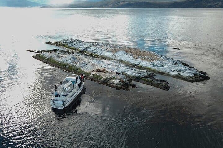 Sail the Beagle Channel: Les Eclaireurs Lighthouse & Wildlife Cruise from Ushuaia photo 4