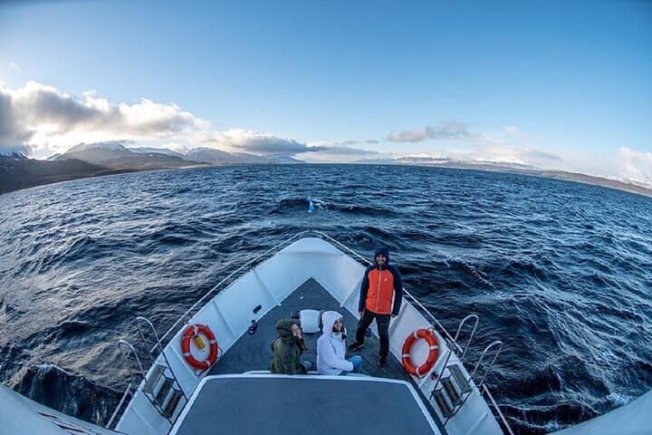 Sail the Beagle Channel: Les Eclaireurs Lighthouse & Wildlife Cruise from Ushuaia photo 3
