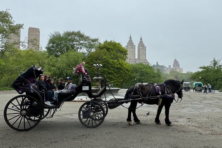 Central Park Horse-Drawn Carriage Ride: Historic Landmarks & Photo Stops