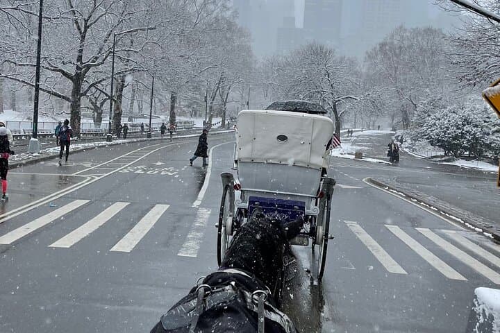 Central Park Horse-Drawn Carriage Ride: Historic Landmarks & Photo Stops photo 2