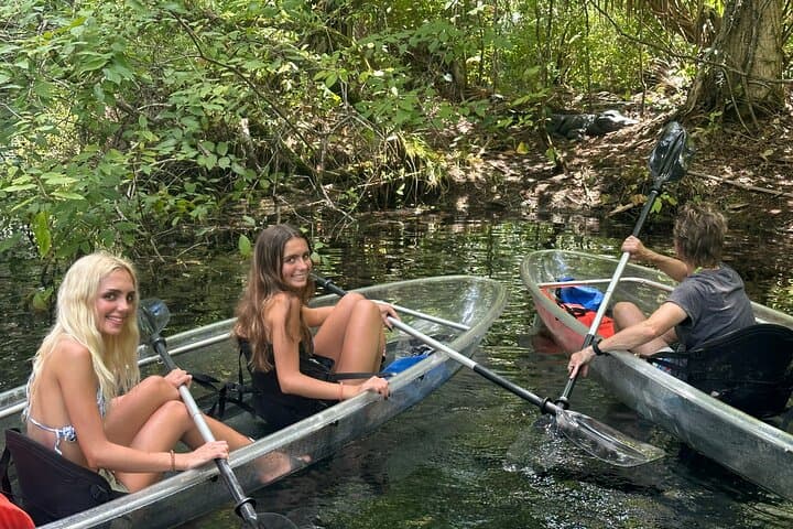 Clear Kayak Gator Viewing at Silver Springs: Paddle the Crystal Silver River photo 4
