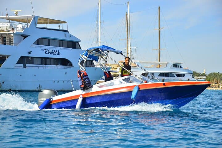 Private Speedboat to Dolphin House: Ethical Dolphin Snorkeling & Reefs from Hurghada