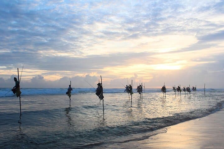 Colombo to Galle Day Tour: Galle Fort, Madu River Safari & Kosgoda Turtle Hatchery photo 2