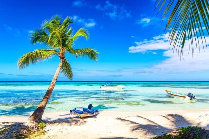 Full-Day Saona Island Excursion from Punta Cana: Beaches, Natural Pool & Local Lunch