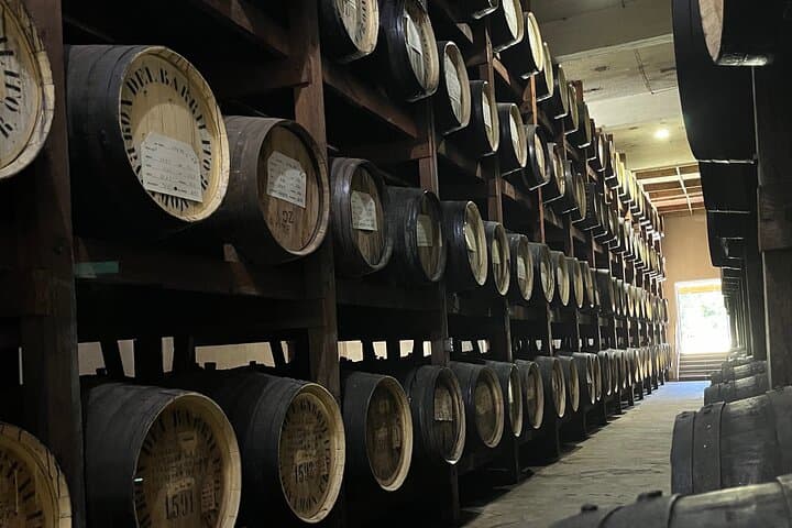 Old San Juan Private Tour & Barrilito Rum Experience: Historic City Walk and Distillery Visit photo 2