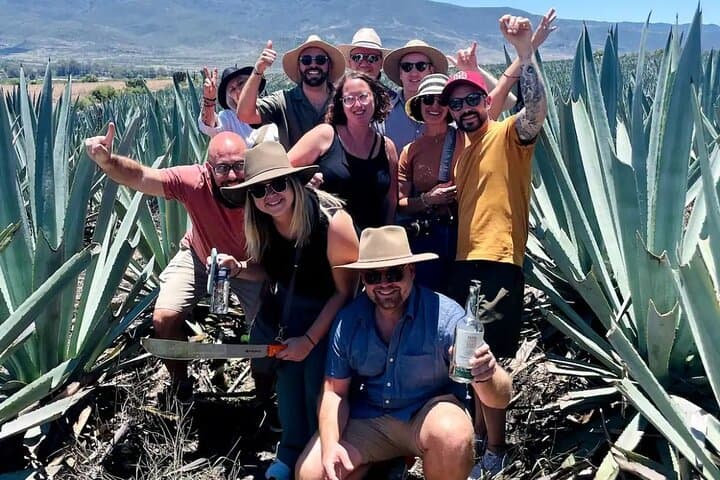 Tradicional Mezcal Experience in Mitla — Family Distillery & Agave Fields photo 6