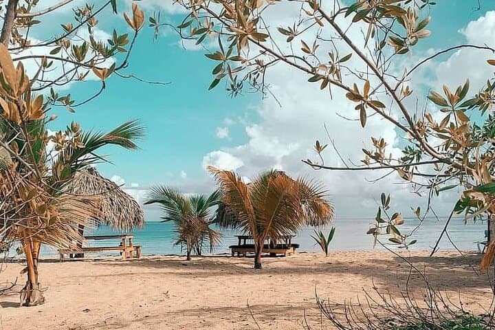 Punta Cana's Ultimate Adventure: From Buggy Trails to Party Boats photo 6