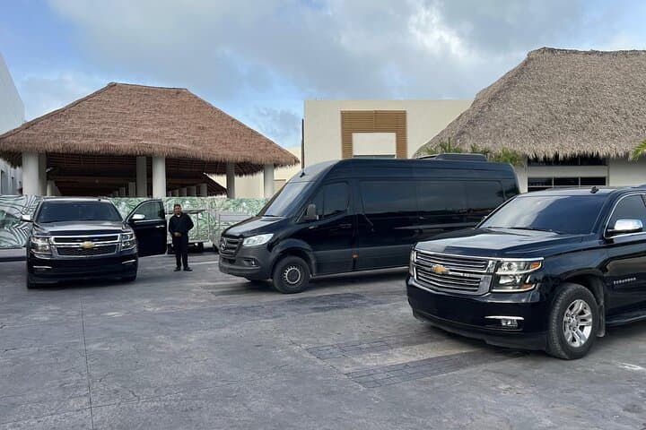 Elevate Your Arrival with VIP VAN Transfers in Punta Cana photo 6
