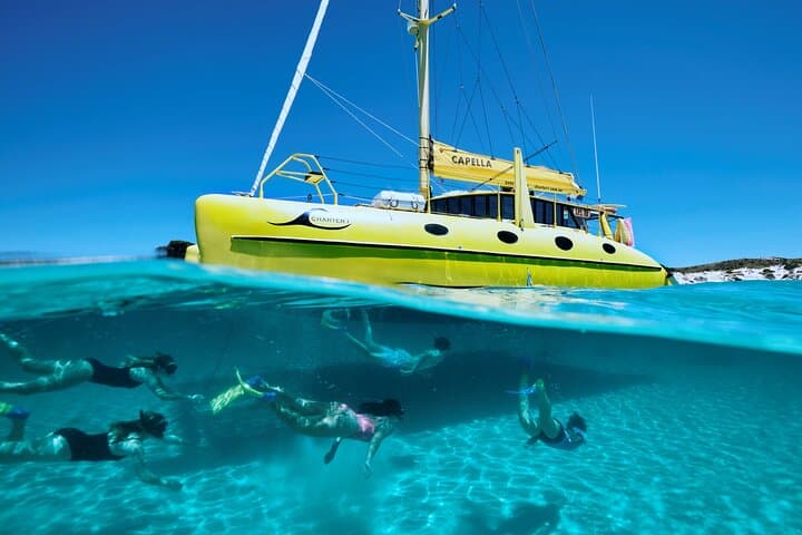 Rottnest Island Snorkel & Sail: Half-Day Catamaran Adventure from Thomson Bay photo 5