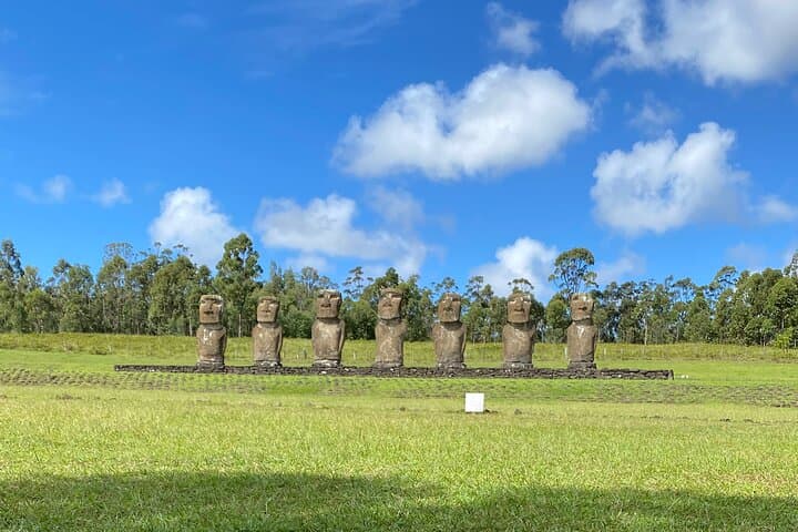Half-Day Cultural Tour of Rapa Nui: Ahu Akivi, Rano Raraku & Orongo photo 2