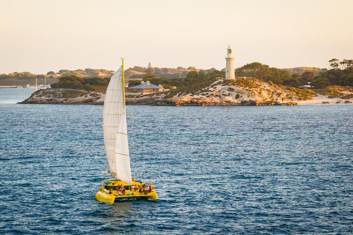 Rottnest Island Twilight Sail: Sunset Cruise & Dolphin Watching on Capella photo 4