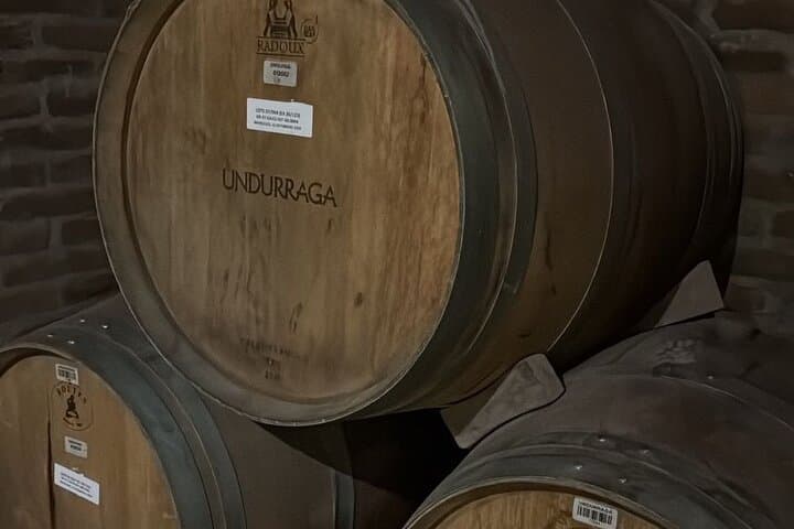 Isla Negra and Undurraga Vineyard Day Trip from Santiago photo 3