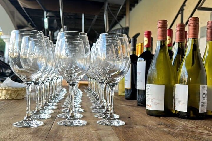Isla Negra and Undurraga Vineyard Day Trip from Santiago photo 5