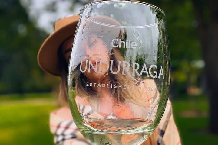 Isla Negra and Undurraga Vineyard Day Trip from Santiago photo 6