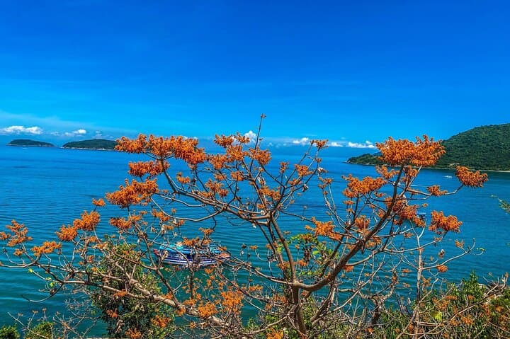 Cham Islands Speedboat & Snorkel: Full-Day Tour from Hoi An photo 6