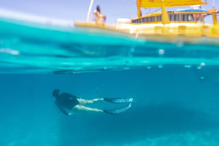 Carnac Island Half-Day Sail: Snorkel, Sea Lions & Wind-Powered Return photo 6