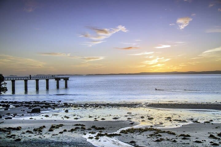 Auckland Private Full-Day Attractions Tour & Museums — Best of Auckland in One Day photo 6