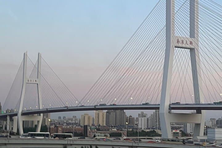 Shanghai Layover Blitz: Maglev, Wet Market & The Bund in 4 Hours photo 6