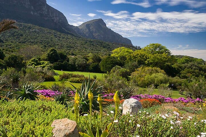 Table Mountain, Kirstenbosch & Constantia: Full-Day Cable Car, Garden Walk and Wine Tasting photo 2