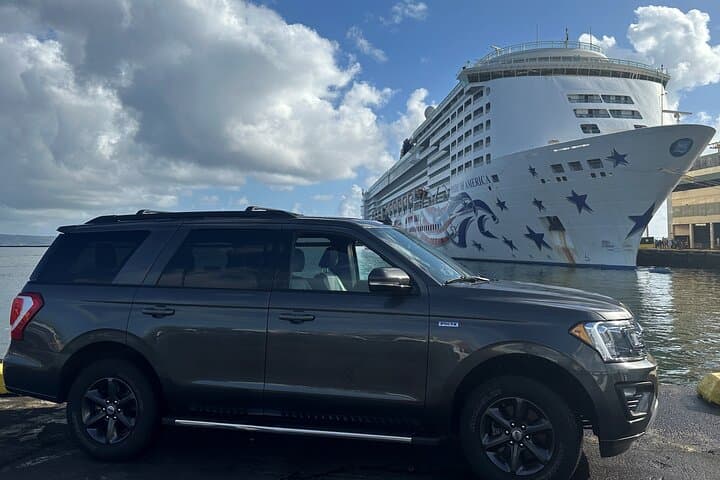 Exploring Hilo and the Hamakua Coast: A Private Shore Excursion Adventure photo 2