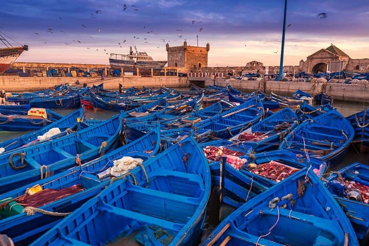 7-Day Private Marrakech Adventure: Atlas, Agafay & Essaouira photo 3