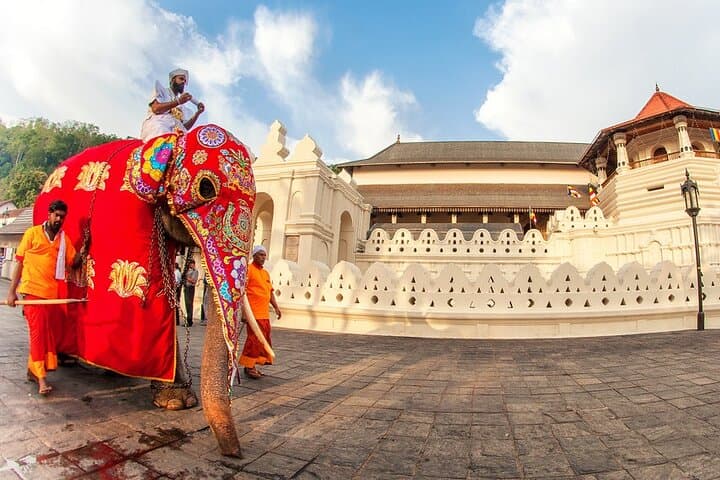 Everything in Kandy: Flexible Cultural & Nature Tours Around Kandy, Sri Lanka photo 2