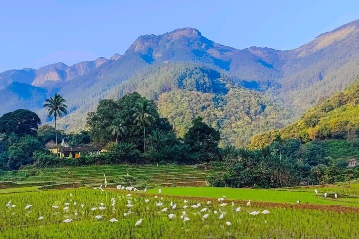Everything in Kandy: Flexible Cultural & Nature Tours Around Kandy, Sri Lanka photo 5
