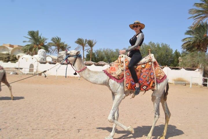 Hurghada Desert Safari: Quad Biking, Spider Car & Bedouin Dinner Under the Stars photo 4