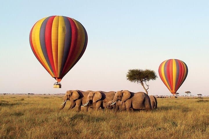 6-Day Shared Safari Through Maasai Mara, Lake Nakuru & Amboseli photo 6