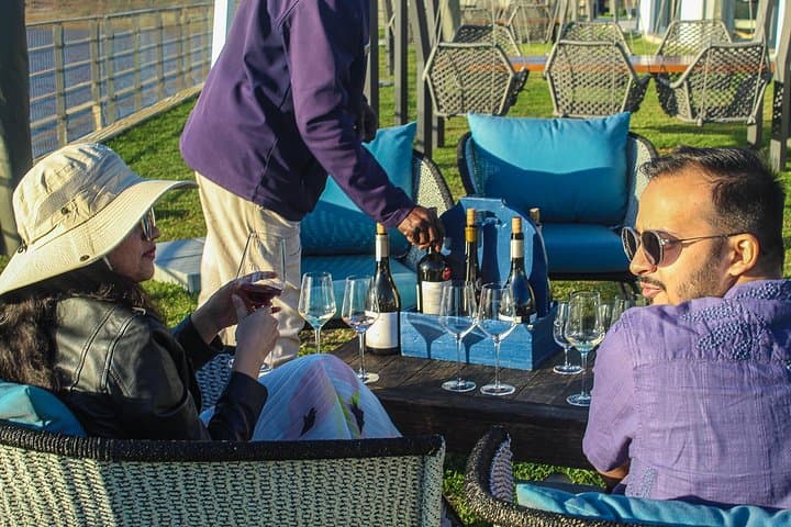 From Robben Island to Constantia: Full-Day Robben Island Museum & Wineries Tour photo 6