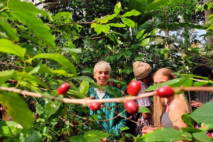 Hidden Arusha Waterfall, Village & Coffee Tour — Meru Mountain Coffee, Culture & Swim photo 5