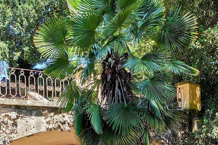 Hiking with the Gods: Pratolino's Medici Park Walk photo 3
