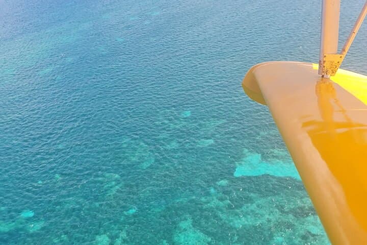 Ultralight Seaplane Over Guadeloupe: 30-Minute Hydro Flight from Le Gosier photo 4