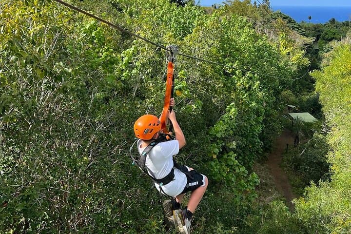 ATV, Zipline & Paintball Day Trip from Mexico City: Forest Trails and Canopy Runs photo 4